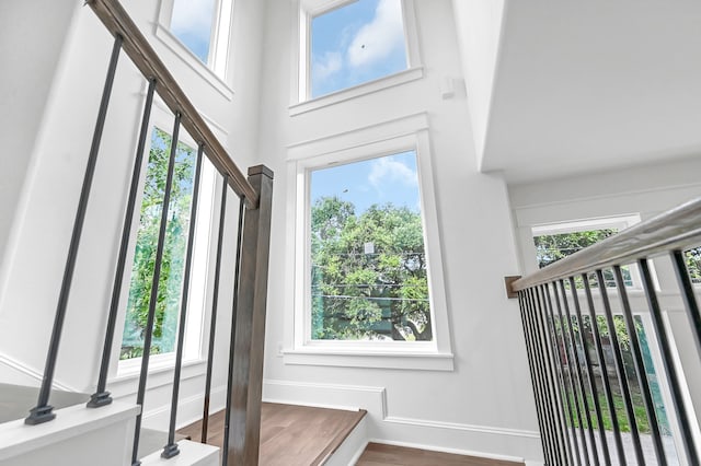 interior space with wood-type flooring, a towering ceiling, and plenty of natural light