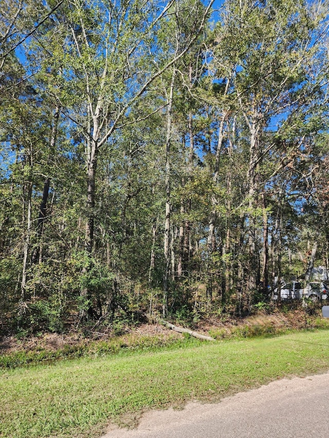 243 County Road 3662, Splendora TX, 77372 land for sale