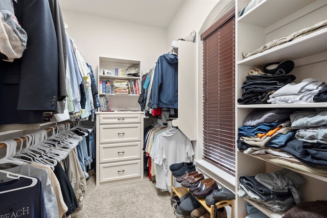 spacious closet with light carpet