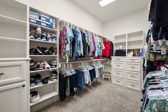 spacious closet featuring carpet flooring