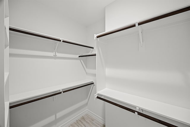 spacious closet with light wood-type flooring