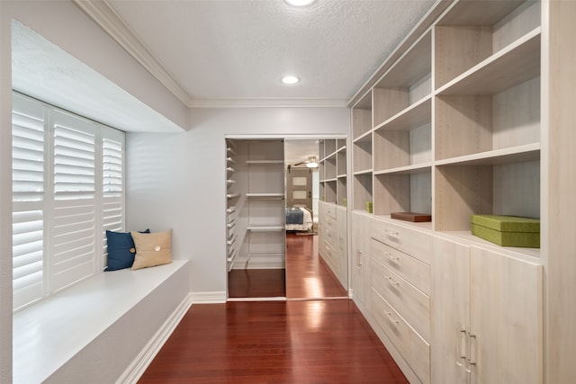 spacious closet with dark hardwood / wood-style flooring