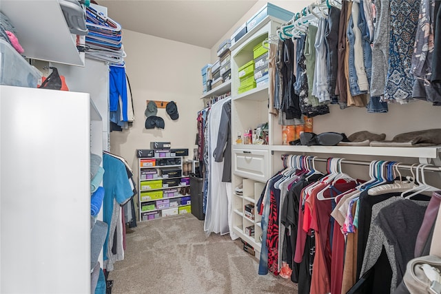 spacious closet with light colored carpet