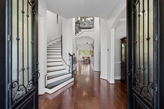 entrance foyer featuring dark wood-type flooring