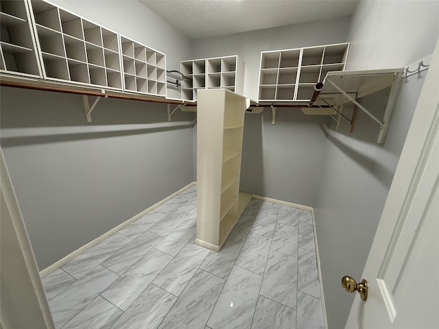 view of walk in closet