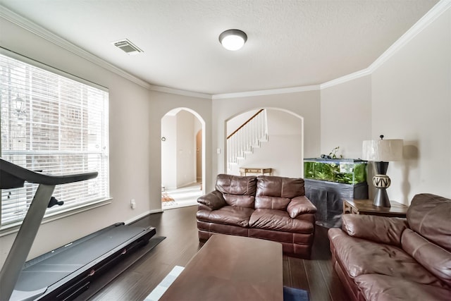 living room featuring a textured ceiling, dark hardwood / wood-style floors, and ornamental molding