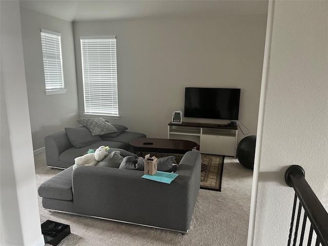 living room featuring carpet flooring