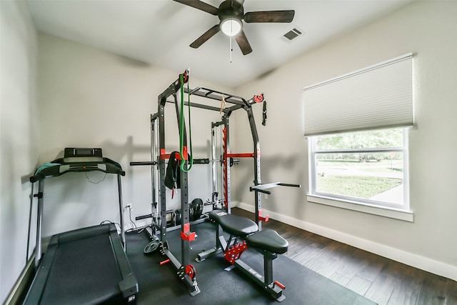 exercise room with ceiling fan and dark wood-type flooring