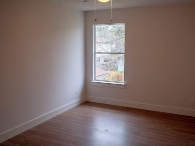 empty room featuring a healthy amount of sunlight and wood-type flooring