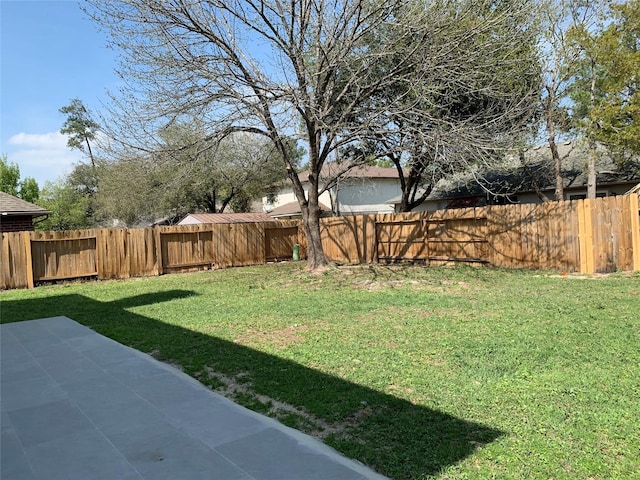 view of yard featuring a patio