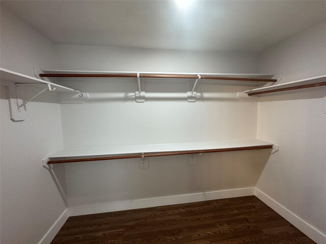 walk in closet with dark wood-type flooring