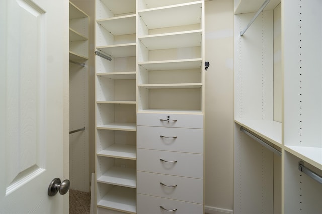 view of spacious closet