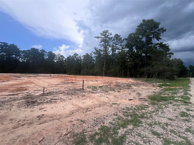 226 Broken Br, Livingston TX, 77351 land for sale