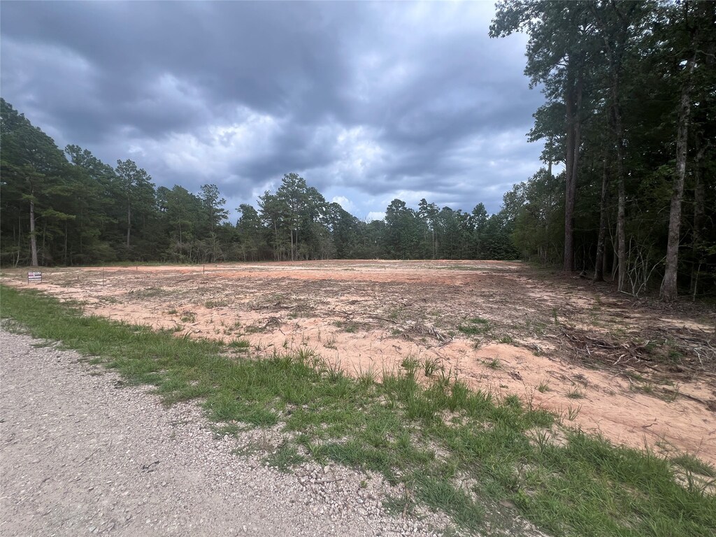 225 Rustic Way, Livingston, TX 77351