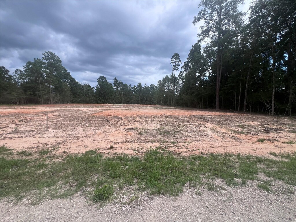 225 Rustic Way, Livingston, TX 77351