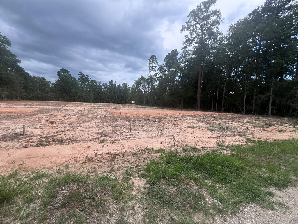 225 Rustic Way, Livingston, TX 77351