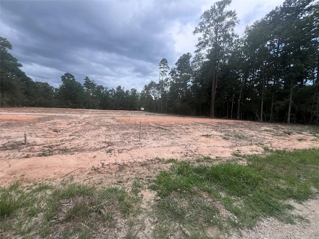 225 Rustic Way, Livingston, TX 77351