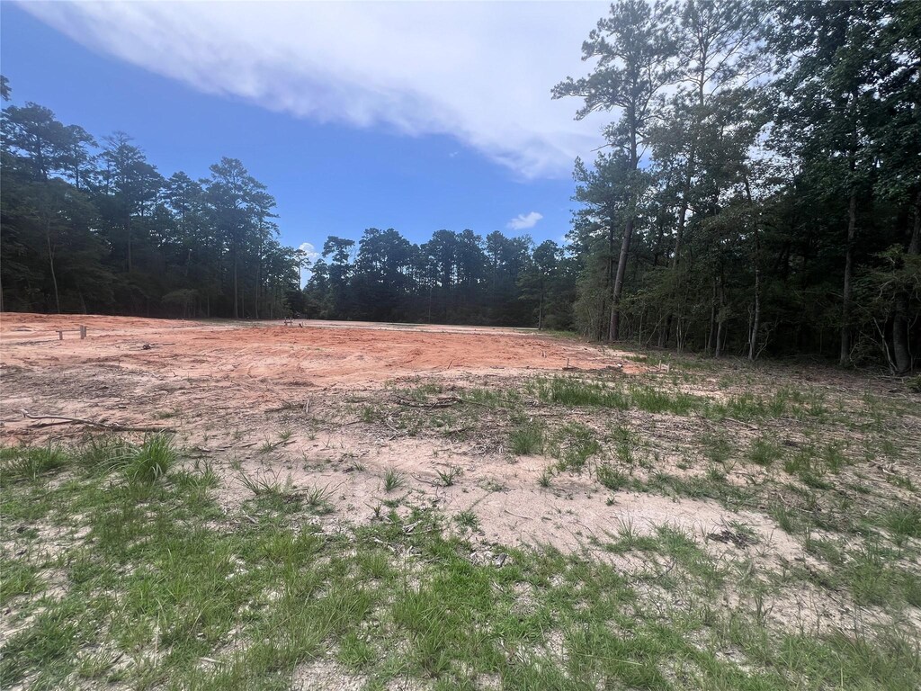 225 Rustic Way, Livingston, TX 77351