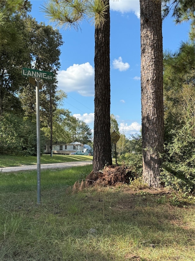 N/A Lannie Blvd, Livingston TX, 77351 land for sale