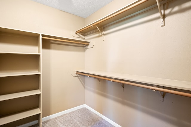 spacious closet with carpet floors