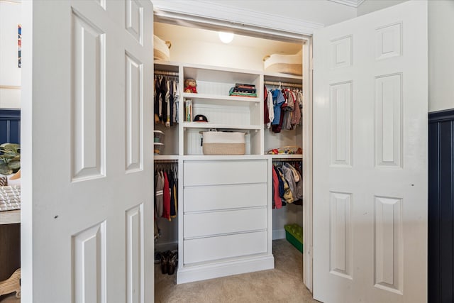 view of closet