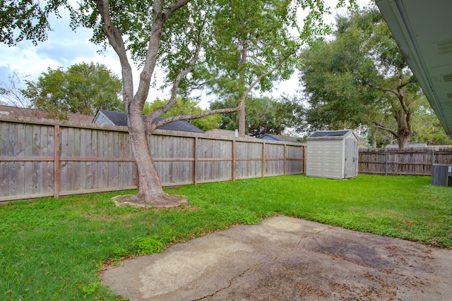 view of yard with a patio area and a storage shed