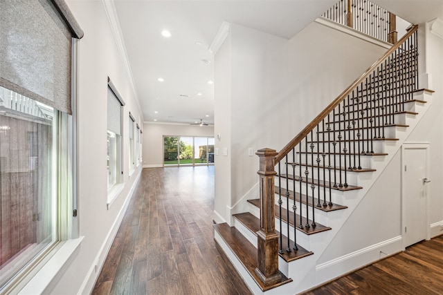 entryway featuring dark hardwood / wood-style floors, ceiling fan, and crown molding