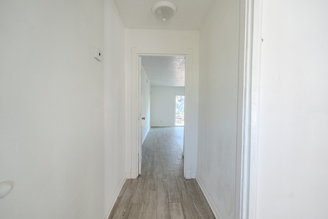 hallway with a textured ceiling and light hardwood / wood-style floors