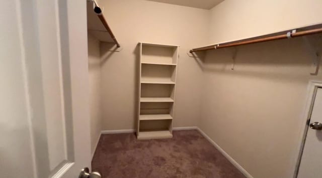 spacious closet with dark carpet