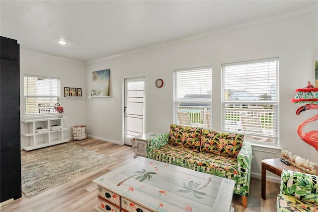 living room featuring plenty of natural light, ornamental molding, and light wood-type flooring