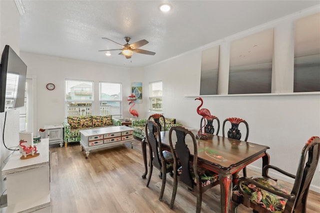 dining area with ceiling fan, crown molding, and light wood-type flooring