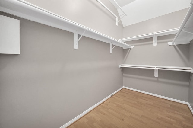 walk in closet featuring hardwood / wood-style flooring