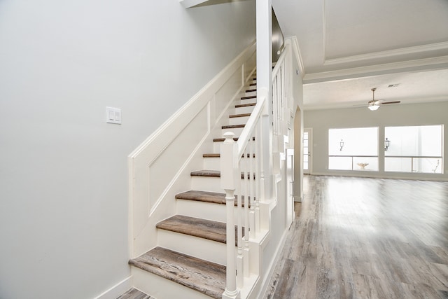 staircase featuring hardwood / wood-style floors, ceiling fan, and ornamental molding