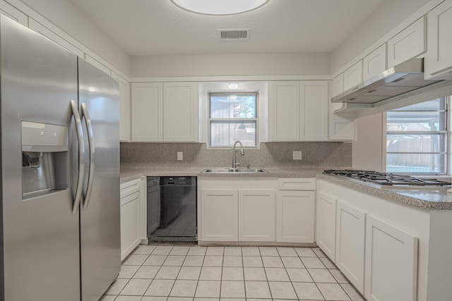 kitchen with appliances with stainless steel finishes, sink, plenty of natural light, and exhaust hood