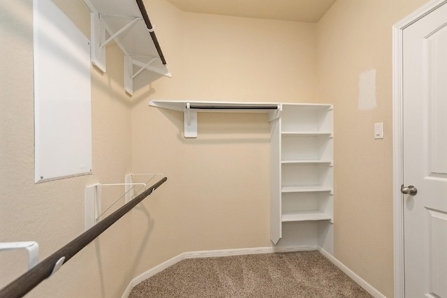 walk in closet with carpet flooring