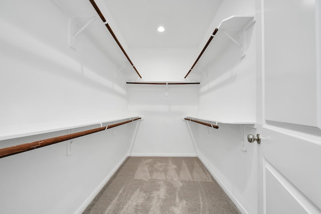 walk in closet featuring light colored carpet