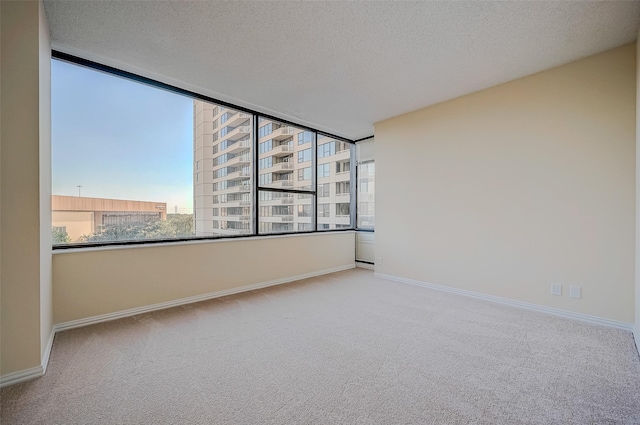 spare room with light carpet and a textured ceiling