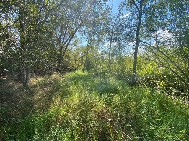 0000 House Rd, Brookshire, TX 77423 - photo 4