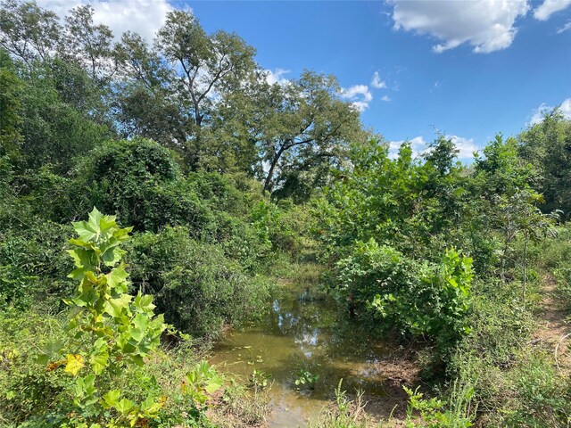 0000 House Rd, Brookshire, TX 77423 - photo 5