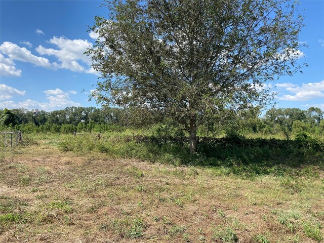 0000 House Rd, Brookshire, TX 77423 - photo 11