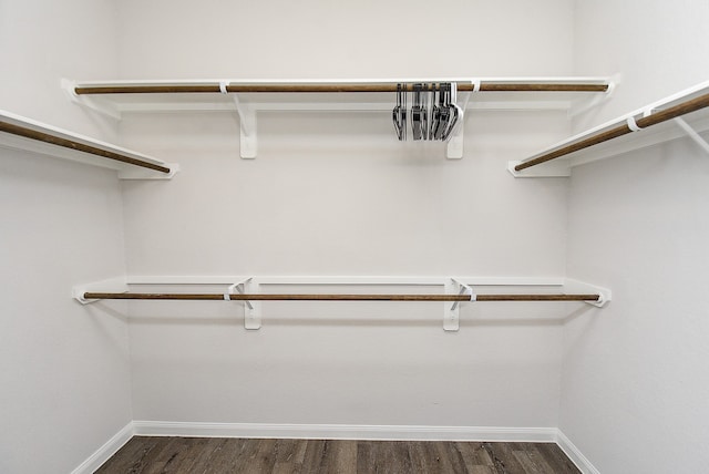 walk in closet featuring dark wood-type flooring