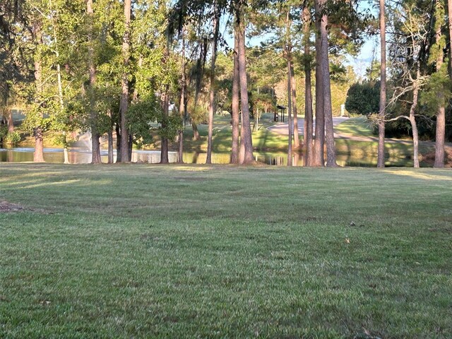 view of yard featuring a water view