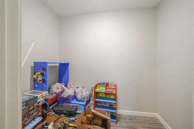 playroom featuring wood-type flooring