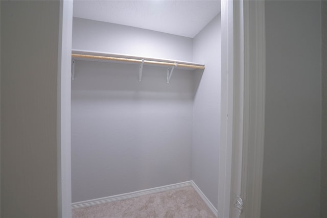 spacious closet featuring light colored carpet