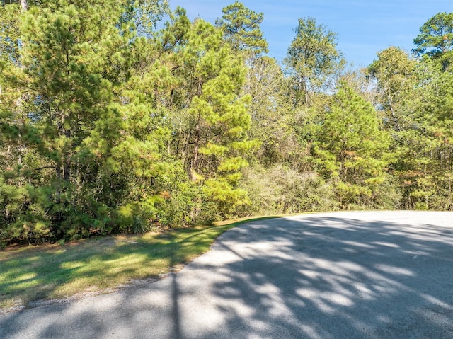 1930 Autumn Ridge Dr, Conroe TX, 77304 land for sale