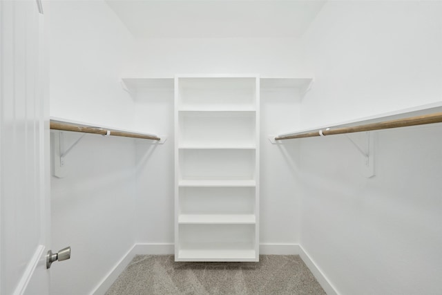 walk in closet featuring carpet