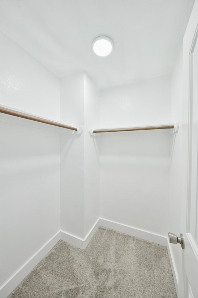 spacious closet with carpet floors