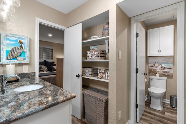 bathroom featuring hardwood / wood-style floors, vanity, and toilet