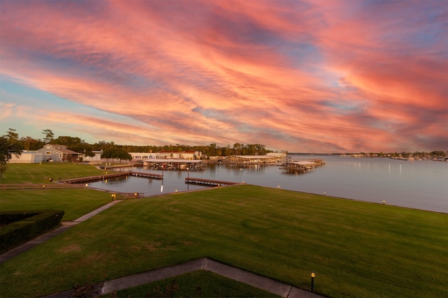 water view featuring a boat dock