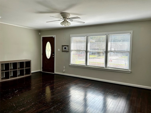 entryway featuring ceiling fan, dark hardwood / wood-style floors, and ornamental molding